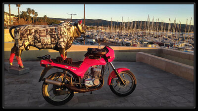 IMG_20201226_082846_DxO.jpg (779.5 Kio) Vu 9425 fois La belle et la bête