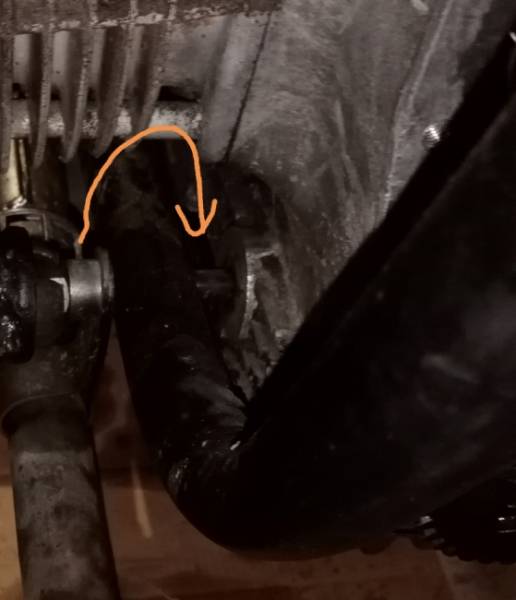 IMG_20240118_085150 redim.jpg