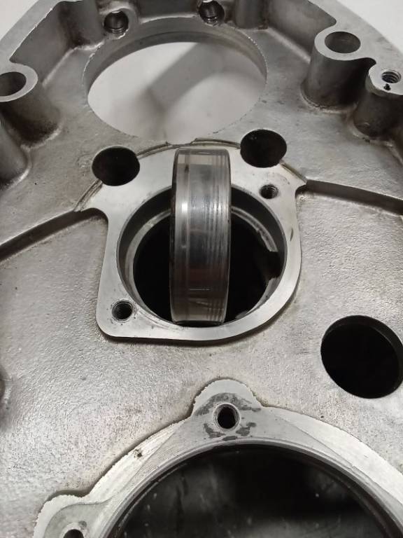 marquage cage ext.jpg