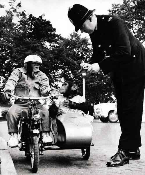 Si tu savais ce que je pense ...