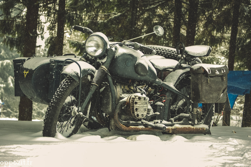 Altes Elefententreffen 2009