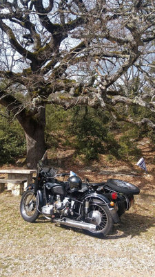 IMG_20190310_113641_DxO.jpg